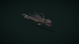 Fish Monster - Dragon Fish fish, underwater, hunter, creatures, predator, scary, deep, enemy, vertebrate, pbr, creature, animal, monster, animated, fantasy, dragon, horror
