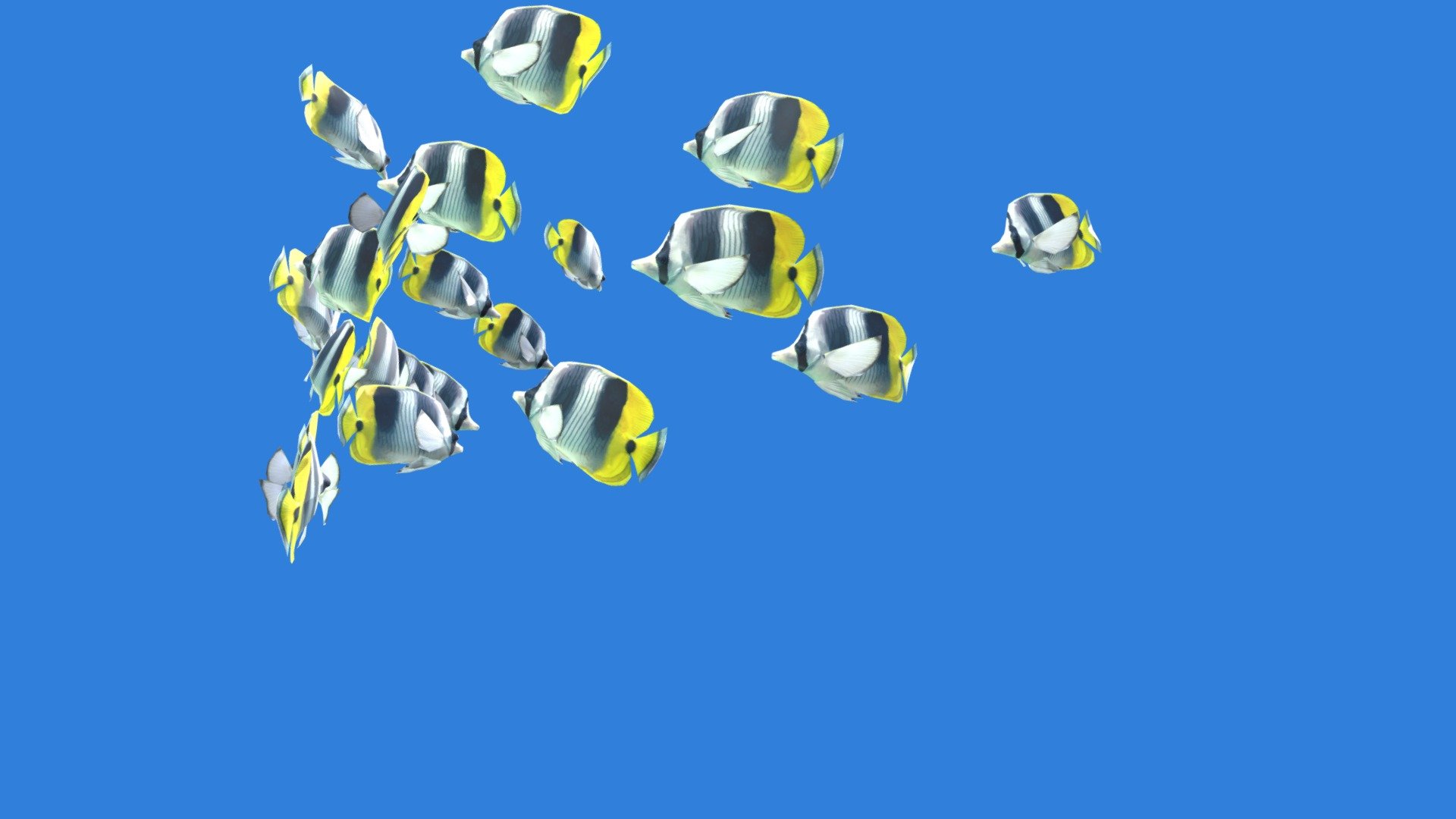 
Schooling of Double-Saddle Coral fish animated in a loop.


The school of fish contains 21 fish. The fish created in Maya. All Fish Animated in the loop duration 30 sec.


All fish don't cross each other



Blue and Yellow fish: https://skfb.ly/6UUZo



Separately fish: 

Blue Fish : https://skfb.ly/6UUYX

Yellow Fish:  https://skfb.ly/6UIBZ



Schooling Fish in cycle: https://skfb.ly/6Tyr6