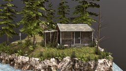 Diorama - Forest Loner assignment, diorama, nature