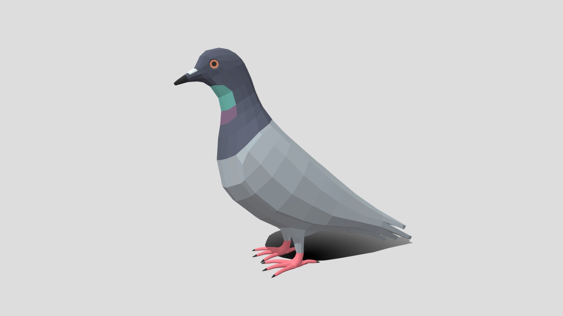 This is a low poly 3D model of a pigeon. The low poly pigeon was modeled and prepared for low-poly style renderings, background, general CG visualization presented as one mesh with quads only.

Verts : 1.146 Faces : 1.144.

The 3D model have simple materials with diffuse colors.

No ring, maps and no UVW mapping is available.

The original file was created in blender. You will receive a 3DS, OBJ, FBX, blend, DAE, Stl, gLTF.

All preview images were rendered with Blender Cycles. Product is ready to render out-of-the-box. Please note that the lights, cameras, and background is only included in the .blend file. The model is clean and alone in the other provided files, centred at origin and has real-world scale.