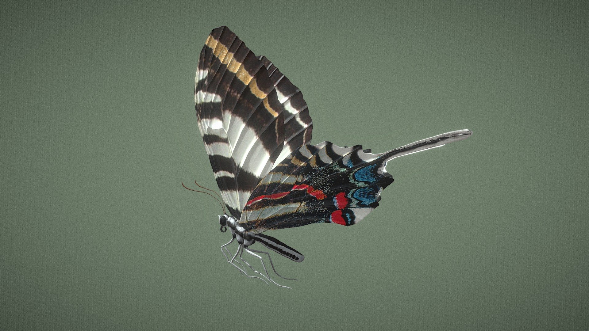 Available on Fab:

https://fab.com/s/f1abea70c2f2
Wiki: Protographium marcellus, the zebra swallowtail, (formerly listed under genera Eurytides, Iphiclides, Graphium and Papilio by some authorities) is a swallowtail butterfly native to the eastern United States and southeast Canada. It is the state butterfly of Tennessee. Its distinctive wing shape and long tails make it easy to identify, and its black-and-white-striped pattern is reminiscent of a zebra. The butterflies are closely associated with pawpaws, and are rarely found far from these trees. The green or black caterpillars feed on the leaves of various pawpaw species, while the adults feed on flower nectar and minerals from damp soil.