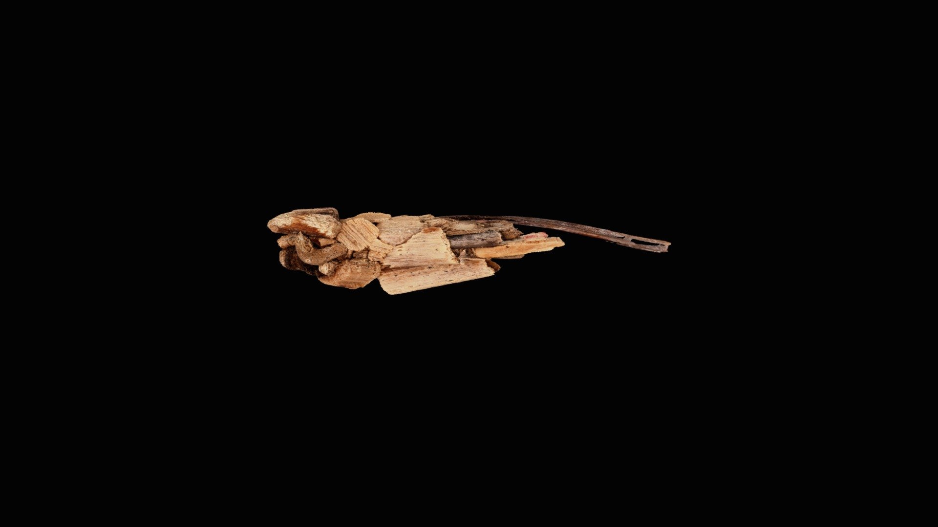 

Nothopsyche pallipes

Size:37mm

Architecture by Caddis larvae



Micro Photogrammetry

Generated by SfM method using thousands of photos

https://www.stulab.jp

