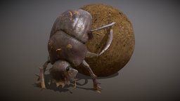 Animated Dung beetle sculpt, insect, bug, beetle, desert, dung, scarab, nature, sacred, wildlife, exoskeleton, subtance, crawling, scarabaeus, scarabaeidae, dungbeetle, painter, character, blender, animal, animation, animated, rigged, noai, bousier, sacer, coleopteres