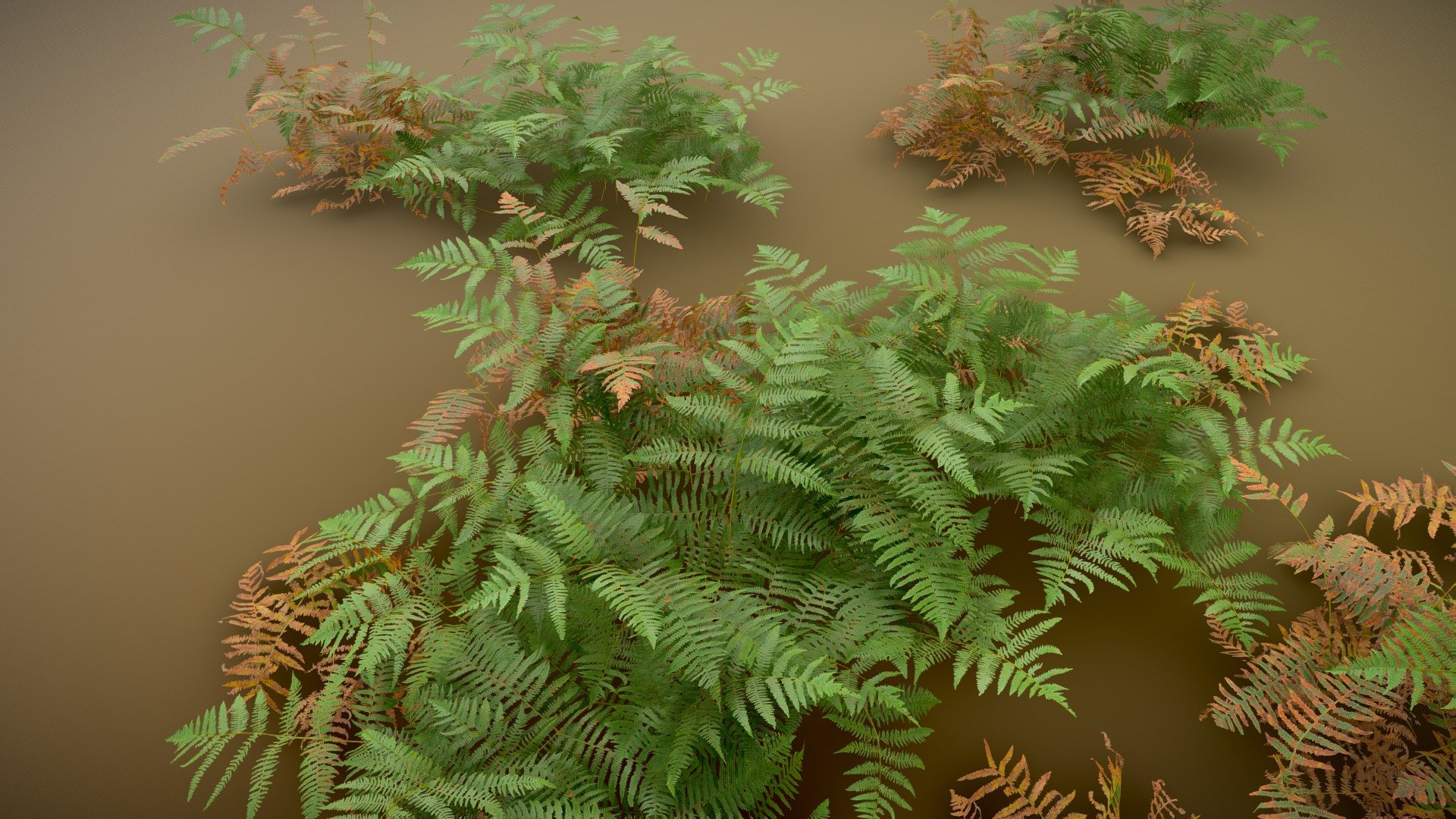 Example scene and modules used of a realistic big forest fern assembly.

All you need to create realastic fern enviromnent for your project!




4K Textures

normal

albedo

roughness 

transmissive

Realisti Fern Forest Realistic Collection Modular