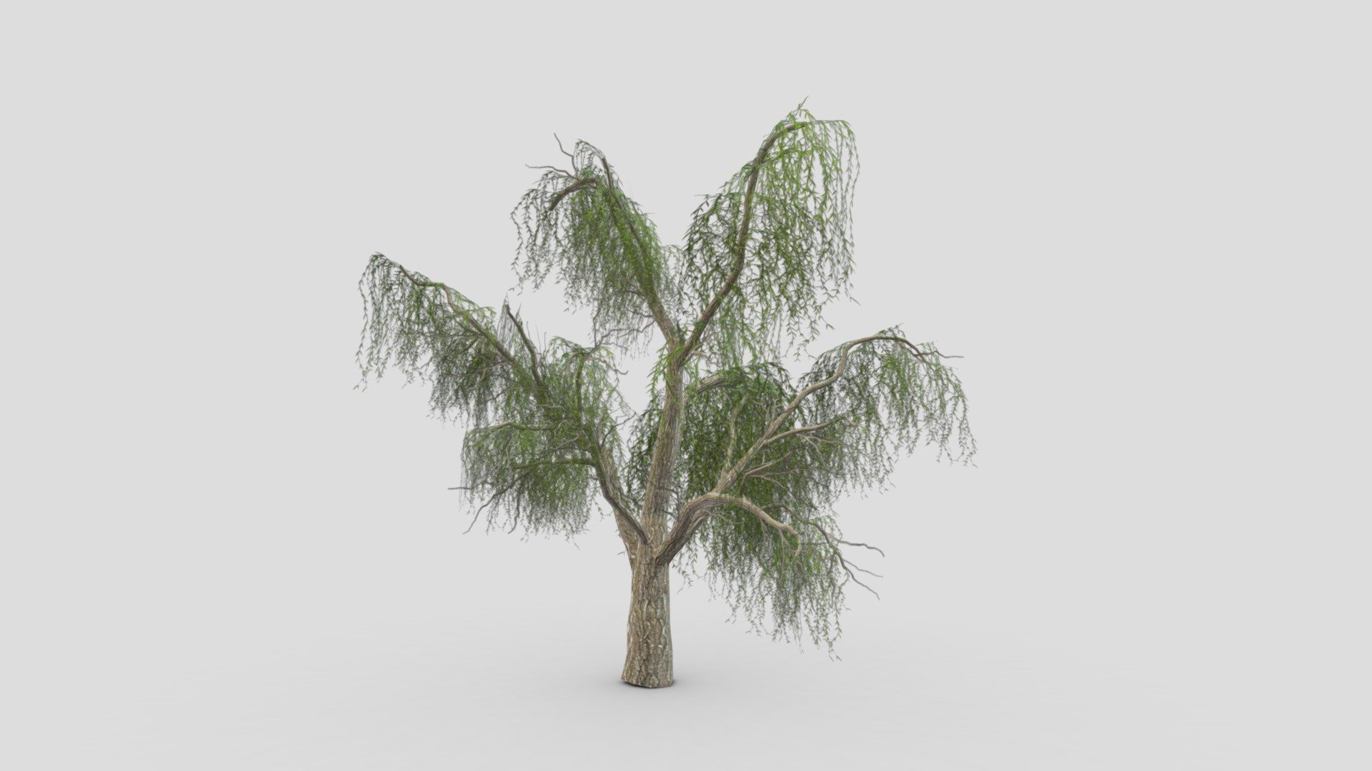 I try to provide low poly model of Weeping Willow tree to use for your game project. I hope this model will be useful for you.