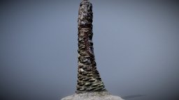 Palm-tree-trunk-002-150k-faces-8k-color-tex trees, tree, palm, experimental, baked, park, trunk, bark, palmtree, treetrunk, palmtree-3dmodel, palmtrees, photogrammetry