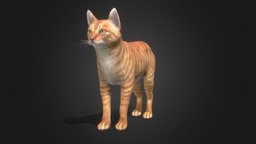 Cat Simple cat, kitty, pet, kitten, black