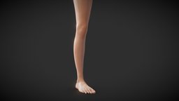 Fit Female Anatomy - Leg and Foot base mesh body, base, armor, anatomy, topology, muscles, leg, tattoo, pack, foot, torso, party, arnold, fit, ss, muscular, procedural, vein, procreate, female, hand, procreate5x, procreate52, procreateready