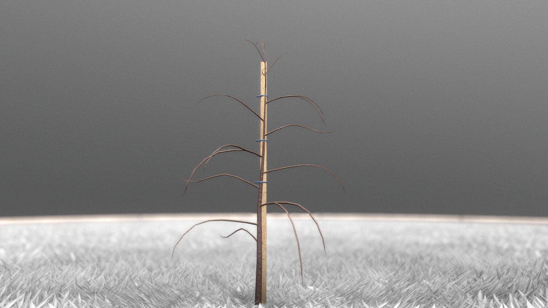 A small Plum Tree 2m Winter Season



Ein kleiner Pflaumenbaum (2 Meter) in der Winter Saison.



Textures(4k):

-Color map

-Normal map



Here on Sketchfab you can see and purchase some of our 3d-models which we are using in our projects for VIS-All (https://vis-all.de/).

The models were created by 3DHaupt for the Software-Service John GmbH (http://www.john-software.de)
3D-Model was modelled and textured in blender (https://www.blender.org/)



Hier auf Sketchfab können Sie einige unserer 3D-Modelle, welche wir in unseren Projekten für VIS-All verwenden(https://vis-all.de/),
betrachten oder aber auch für die kommerzielle Nutzung erwerben.

Die Modelle wurden von 3DHaupt 3DHaupt für die Software-Service John GmbH (https://www.john-software.de) erstellt.
Alles modelliert und texturiert in Blender-3D (https://www.blender.org/) 


