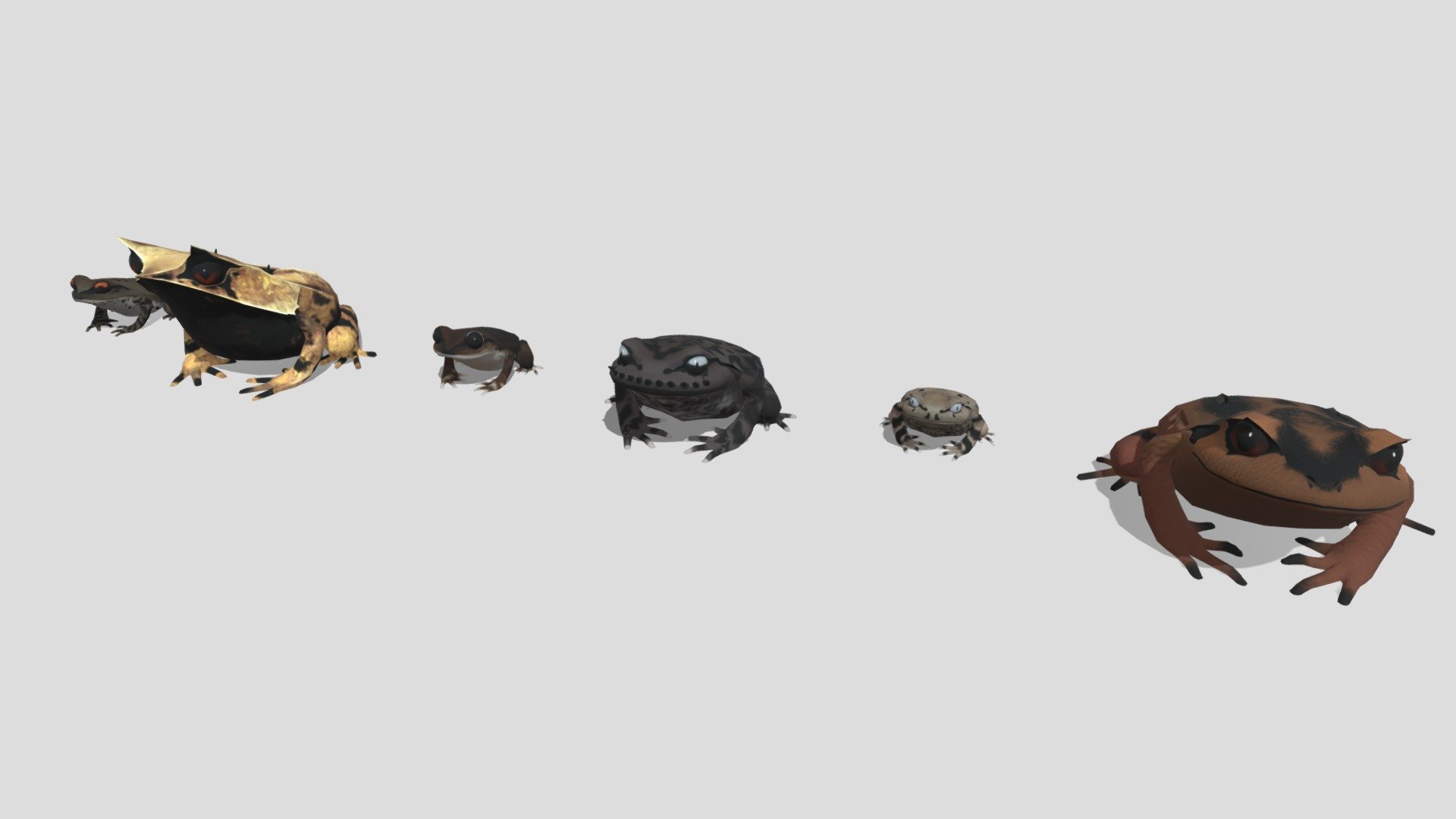 They are 6 kinds of tree frogs(from the Hylidae family).




和 ベトナムフトコノハガエル / 英 Annam Broad-headed Toard / 学 Brachytarsophrys intermedia

和ボンプウデナガガエル / 英 Bompu litter frog / 学 Leptobrachium bompu

和ガビシャンヒゲガエル / 英 Emei moustache toad / 学 Leptobrachium boringii

和キナバルウデナガガエル / 英 Asian litter frog / 学 Leptobrachium gunungense

和ミツヅノコノハガエル / 英 Long-nosed horned frog / 学 Megophrys nasuta

和ヘンドリクソンウデナガガエル / 英 Spotted Litter Frog / 学 Leptobrachium hendricksoni
