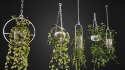 Hanging Pots with Plants/Vines plant, pots, hanging, vines, blender3dmodel, gamereadymodel, unrealengine4-unity5, decorative-element, wall-hanging, nature-assets, decorative-object, hangingpot, plants-pack, pots-pack, garden-assets