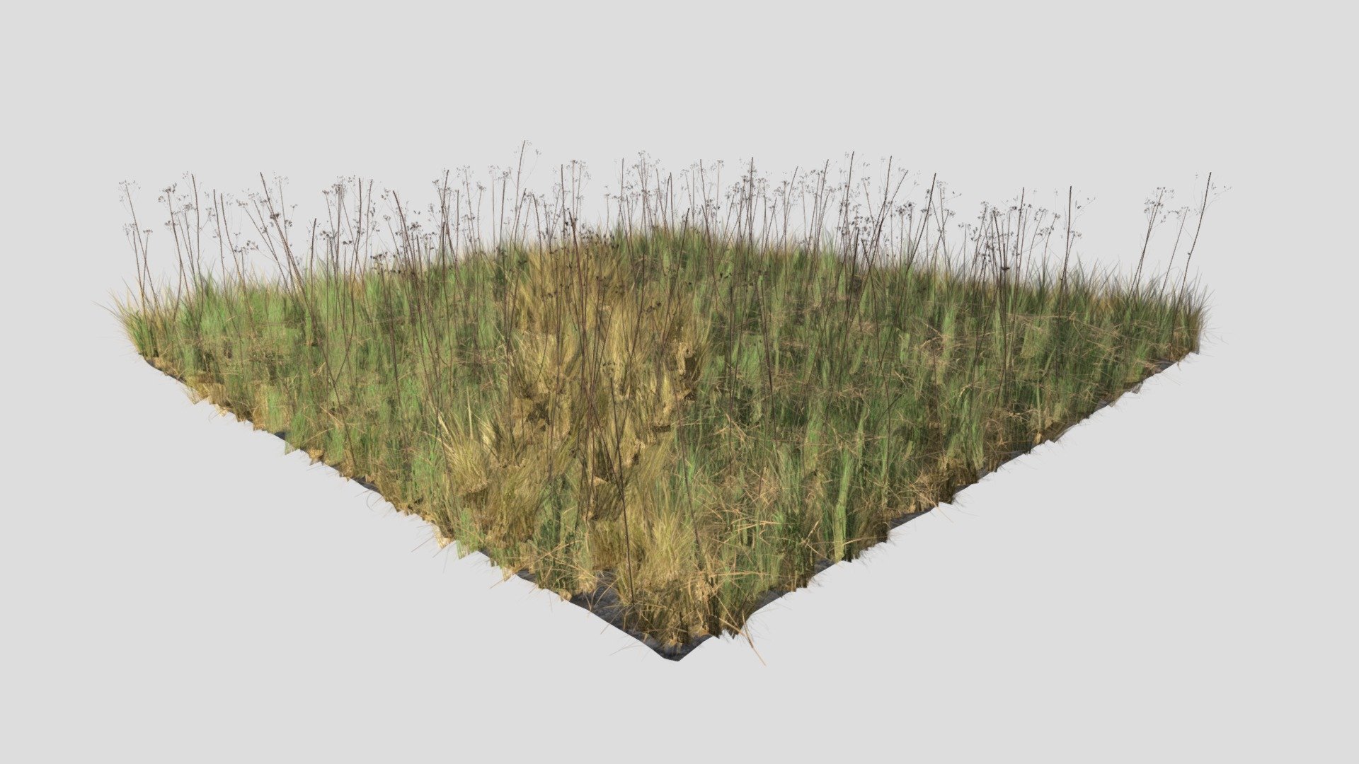 Hi all,

This is PBR Dry St John's Wort meadow patch created in Blender in real world scale (100cm x 100cm). It includes 5 different models:

soil (3D scanned)

dry st John's wort

dry grass

dead grass

grass

It comes in following formats:

.blend

.fbx

.obj

.dae

The blender file has the shaders set up, so it's ready to render using Cycles. The title image is not included.

Each model comes with set of 4K .png maps:

base color

roughness

normal

opacity

translucency

ambient occlusion

The product comes with a free gift!