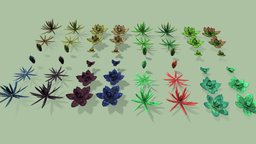 Aloe Plant Set plant, plants, flower, set, underwater, desert, flowers, pattern, ocean, stars, vegetation, neon, alien, bloom, vegetable, si-fi, seaweed, aloe, aloevera, underthesea, handpainted, hand-painted, futuristic, fantasy, sea, environment