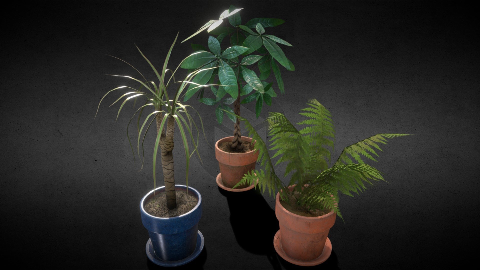 **Every room gets that certain something through the right interior design - and what is the best and healthiest way than the right set of plants.



Set includes: - Fern (Tracheophyta)  - Provision Tree (Pachira aquatica) - Drangon tree  (dracaena marginata) - 3 different kinds of plant pots and 3 different kind of plant saucer

Every plant, plant pot and plant saucer can be combined with each other



4K Textures (4096x4096px)



LowPoly-Asset for Video &amp;/or Games



Made with: 3Ds Max, zBrush, Substance Painter, Photoshop