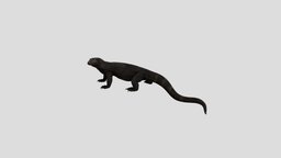Komodo Dragon 