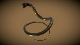 Snake snake, reptile, substancepainter, blender, pbr, animal