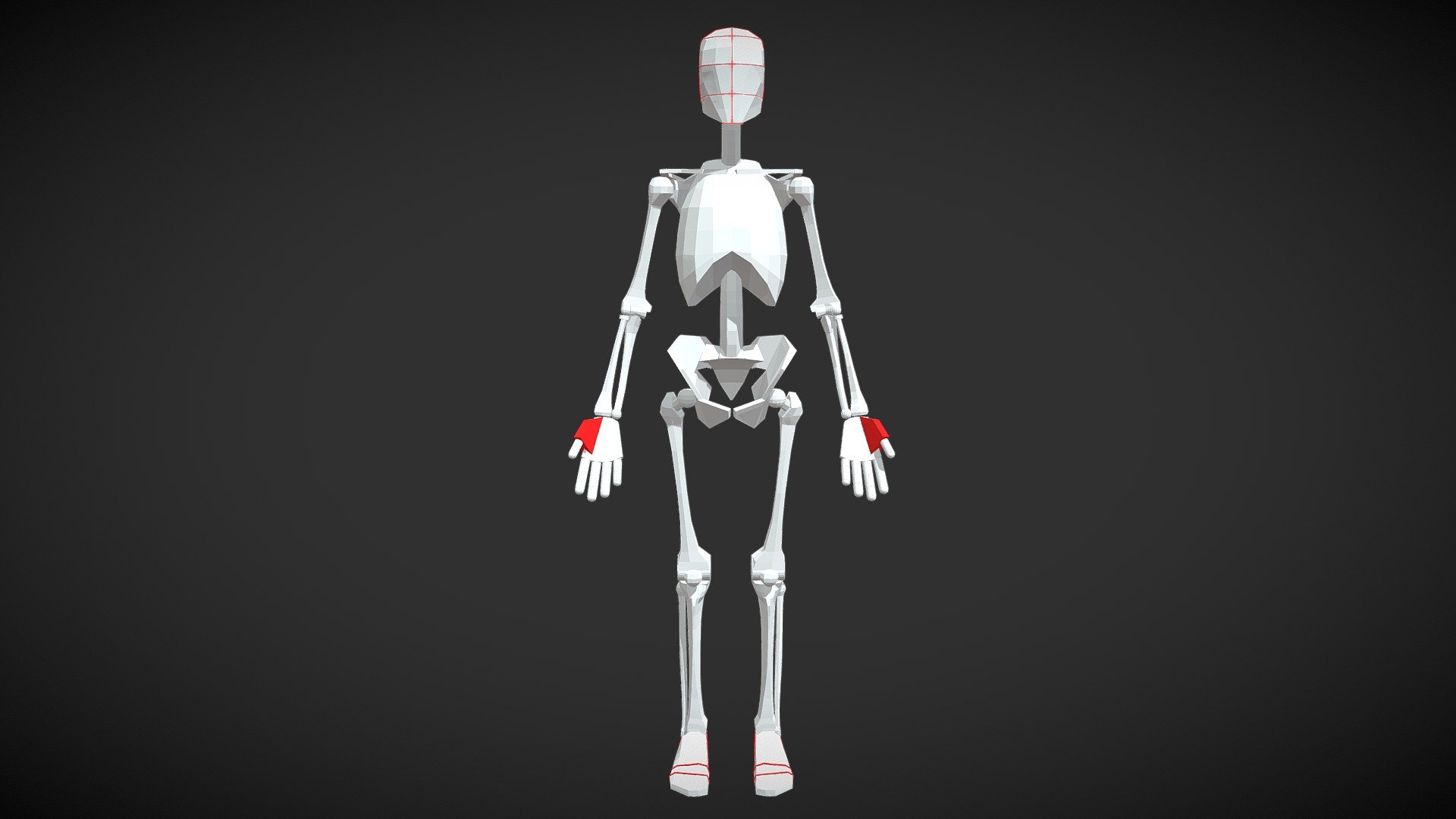 Anatomically accurate male skeleton model for artists.

Created very precisely with years of human anatomy study. 

I had not been able to find any good model for my own figure drawing study.

So I create one myself.

Hope this model will help your study as well.