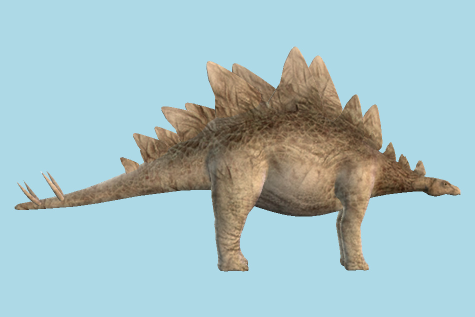 Stegosaurus Dinosaur 3d model