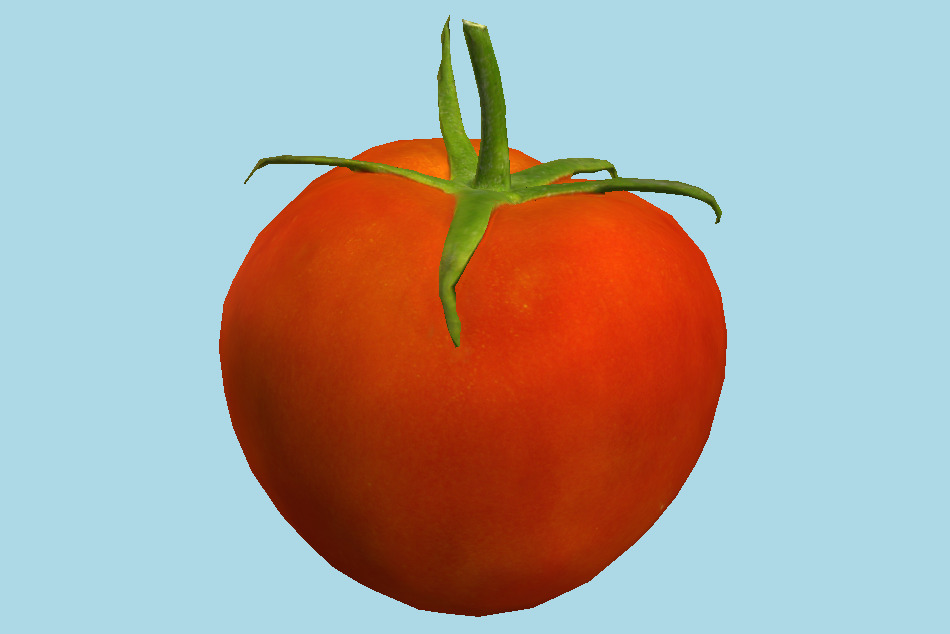 Vine Ripe Tomato 3d model