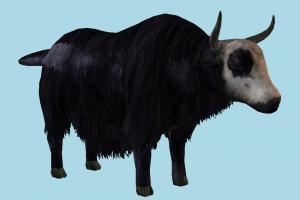 Yak yak, bison, bull, animal, animals, wild, nature