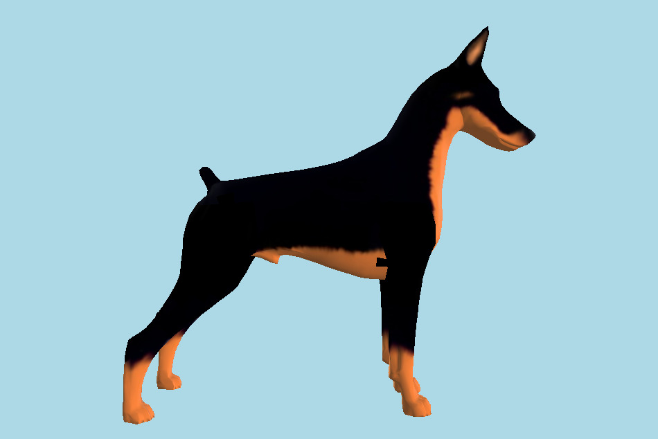 Doberman Pinscher Dog 3d model