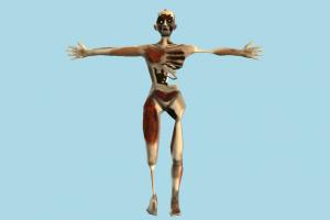 Zombie zombie, skeleton, anatomy, bloody, character, human, lowpoly