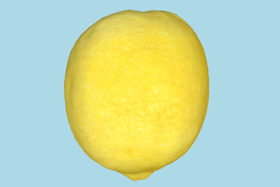 Lemonade 3d model