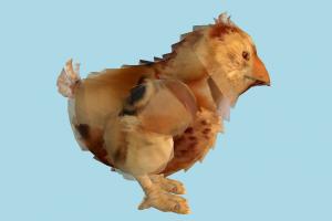 Chick chick, chicken, bird, air-creature, hen