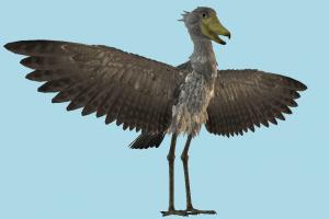 Shoebill stork, bird, birds, air-creature, wings, balaeniceps, pelecaniformes