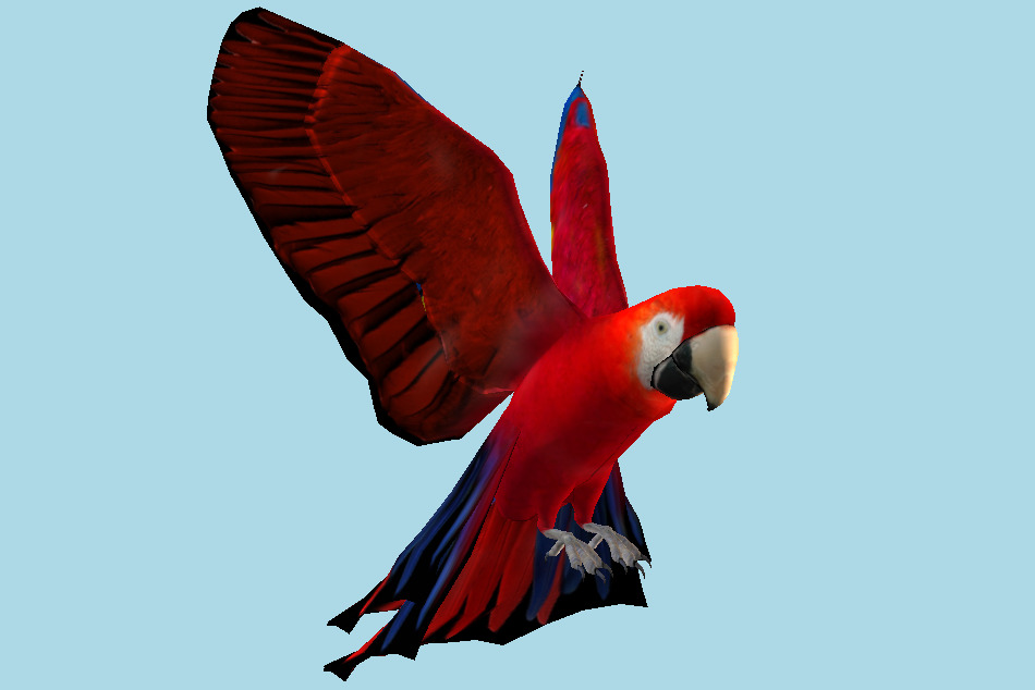 Red Macaw Parrot 3d model