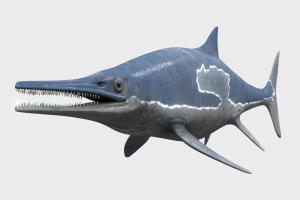 Ichthyosaurs fish, e, water, fossil, game-ready, swimming, jurassicworld, substancepainter, blender, lowpoly, prehistoric, dinosaur, sea, jurrasic-park, ichthyosaurs
