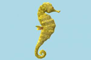 Seahorse seahorse, horse-fish, sea-creature, hippocampus, ocean, river, sea, horse, fish, nature, aquarium, aquatic, coralreef, tropical, small, marine, shallows, small, underwater, composition, yellow