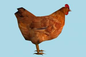 Hen hen, rooster, chicken, bird, air-creature, nature, lowpoly