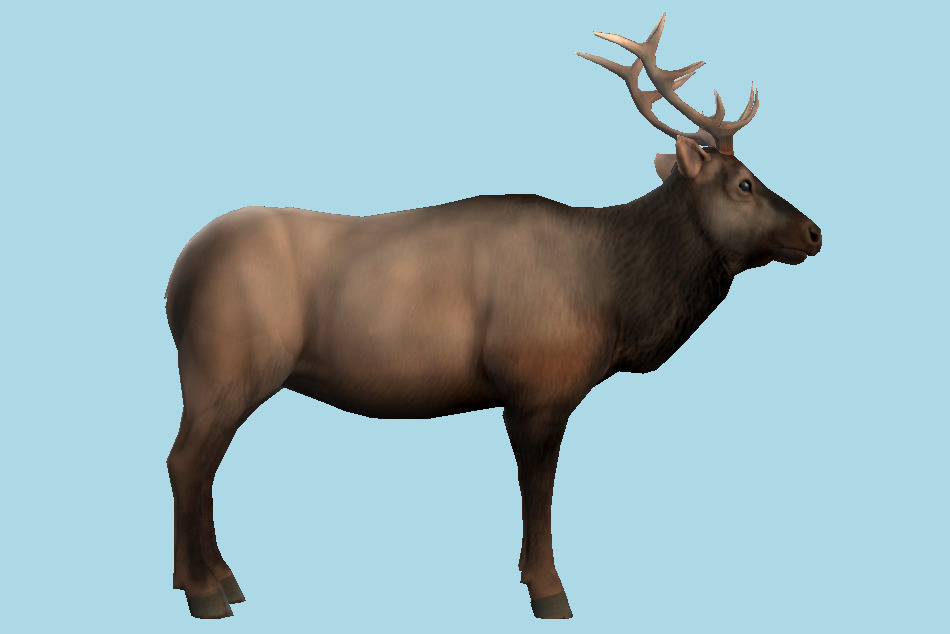 Elk 3d model