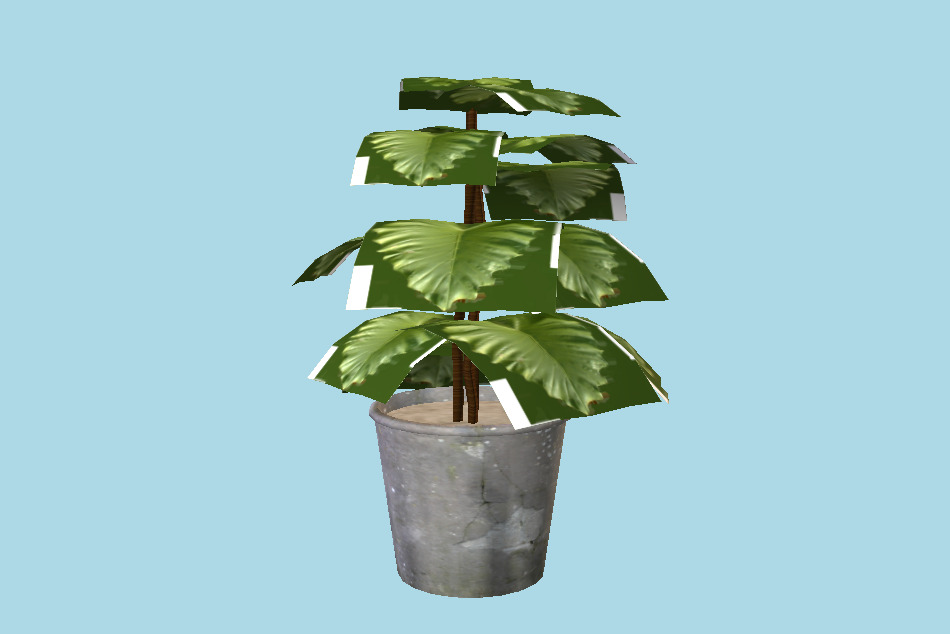 House Plant 3d model
