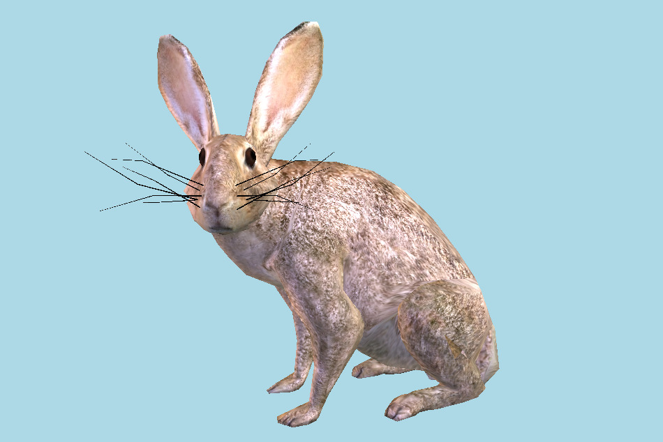 Rabbit 3d model