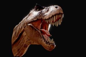 REXY Tyranosaurus dinosaure, trex, dinosaurs, jurassic, tyranosaurus, jurassicpark, jurassicworld, trexhead, blender