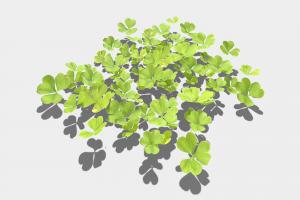 Clovers clover, leaf, four, clovers