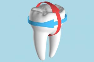Tooth Molar mouth, tooth, molar, medical, medicine, health, care, arrow, red, blue, dental, dent, clean, protect, dentist, hygiene, toothbrush, toothpaste