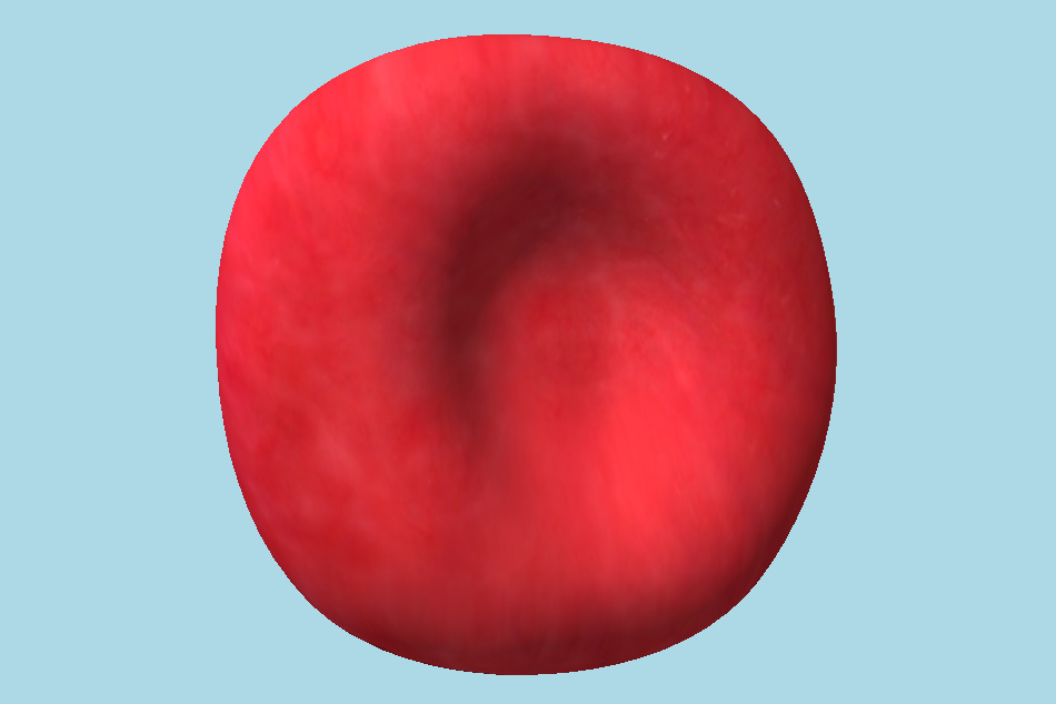 Normal Red Blood Cell 3d model