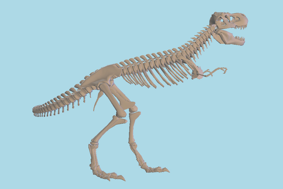 Dinosaur Skeleton 3D Model