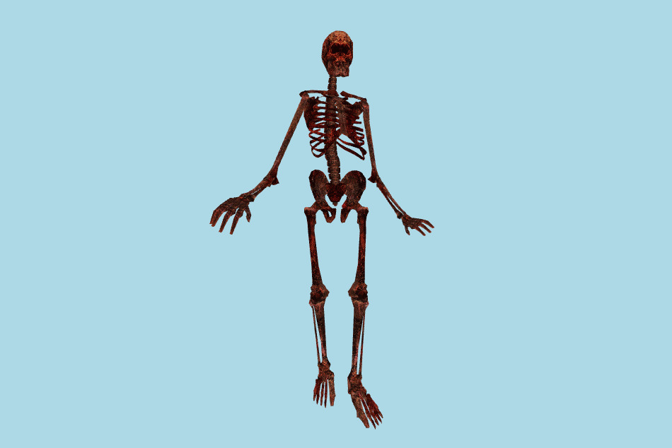 Animated Skeleton HL MDL 3d model