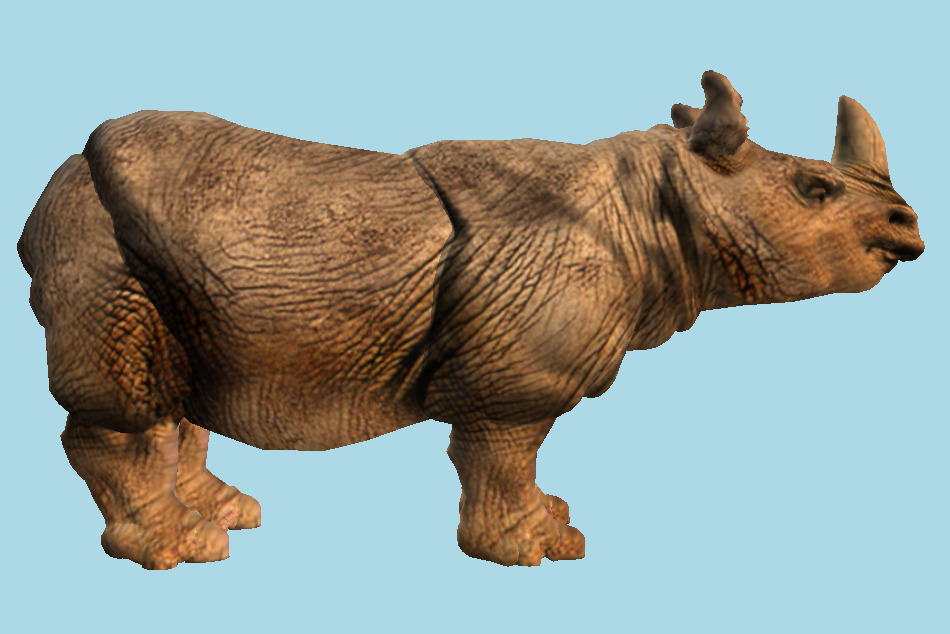 Sumatran Rhinoceros 3d model