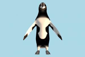 Penguin penguin, polar-animal, polar, frozen, animal, animals, nature