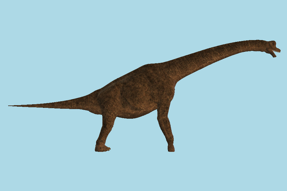 Brachiosaurus Dinosaur 3d model