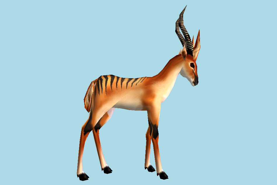 Black Striped Gazelle 3d model