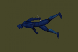 ninja woman5