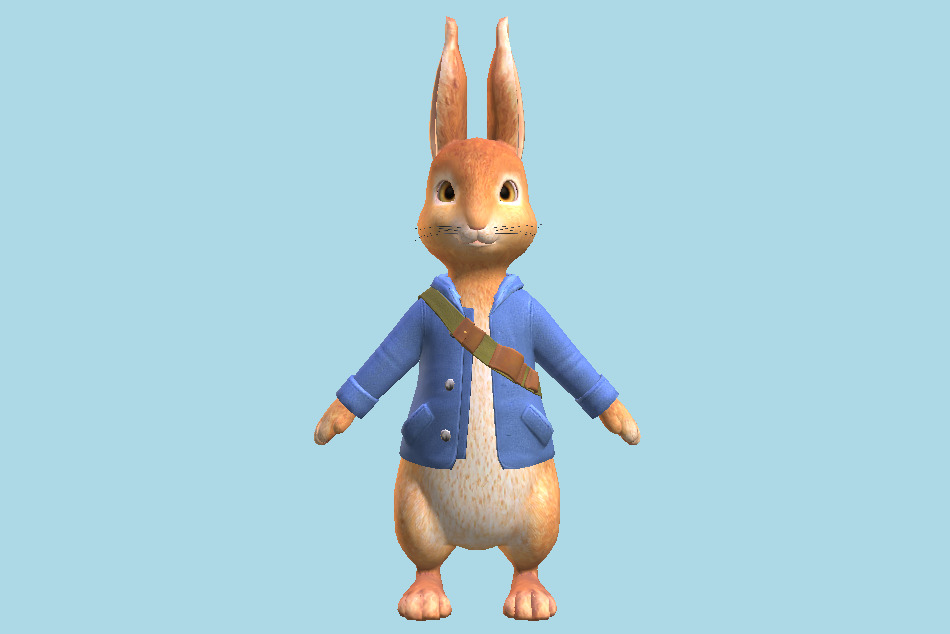 Peter Rabbit Bunny 3d model