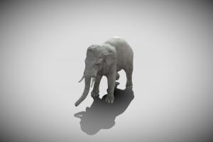 Elephant elephant, beast, games, mount, pet, animals, wild, zoo, nature, pets, beasts, elephants, wildnature