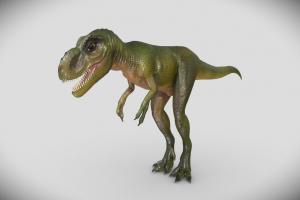 Young Tyrannosaurus Rex t-rex, baby, lizard, predator, rex, young, reptile, jurassic, carnivore, theropod, tyrannosaurus, juvenile, prehistoric, dinosaur